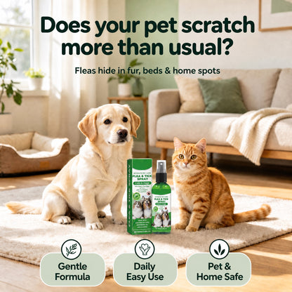 ⏳LIMITED-TIME OFFER: Buy 2 Get 1 FREE!🐾✨Plant-Based Flea & Tick Spray🌿Gentle Protection for Dogs & Cats🐶🐱 — Devareon®