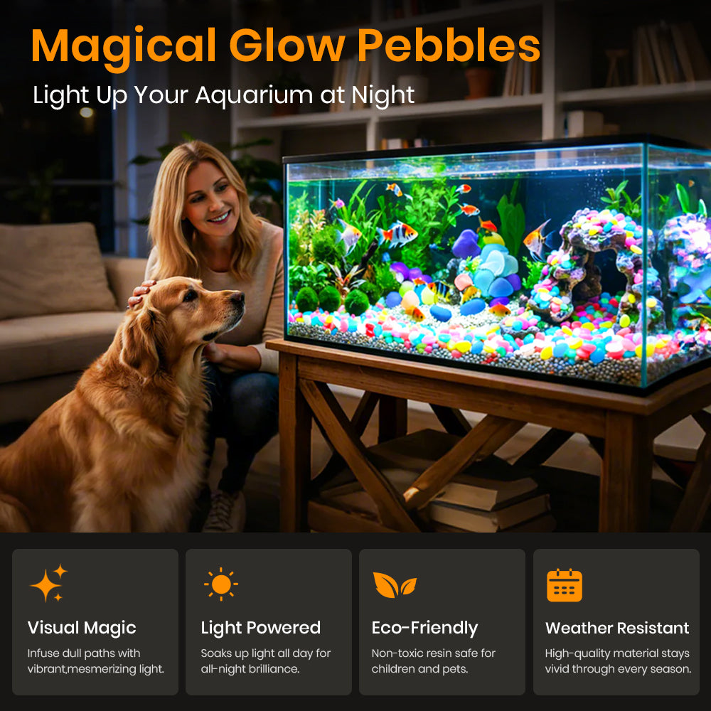 Devareon®🔥Buy 1000 Get 1000 Free🔥Luminous Stones for Garden & Home Decoration