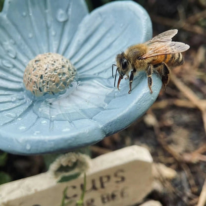🐝Flower-Shaped Bee Watering Station💧 -Devareon®