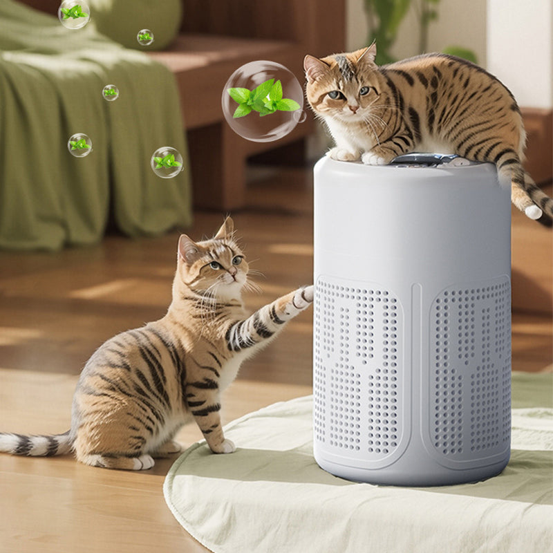 Devareon®🔇LAST DAY SALE 40% OFF 💐Silent Air Purifier – Peaceful sleep, no noise😴【Limited Offer】