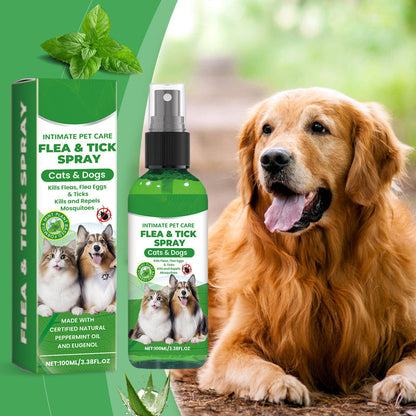 ⏳LIMITED-TIME OFFER: Buy 2 Get 1 FREE!🐾✨Plant-Based Flea & Tick Spray🌿Gentle Protection for Dogs & Cats🐶🐱 — Devareon®