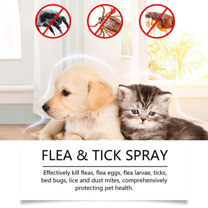 ⏳LIMITED-TIME OFFER: Buy 2 Get 1 FREE!🐾✨Plant-Based Flea & Tick Spray🌿Gentle Protection for Dogs & Cats🐶🐱 — Devareon®